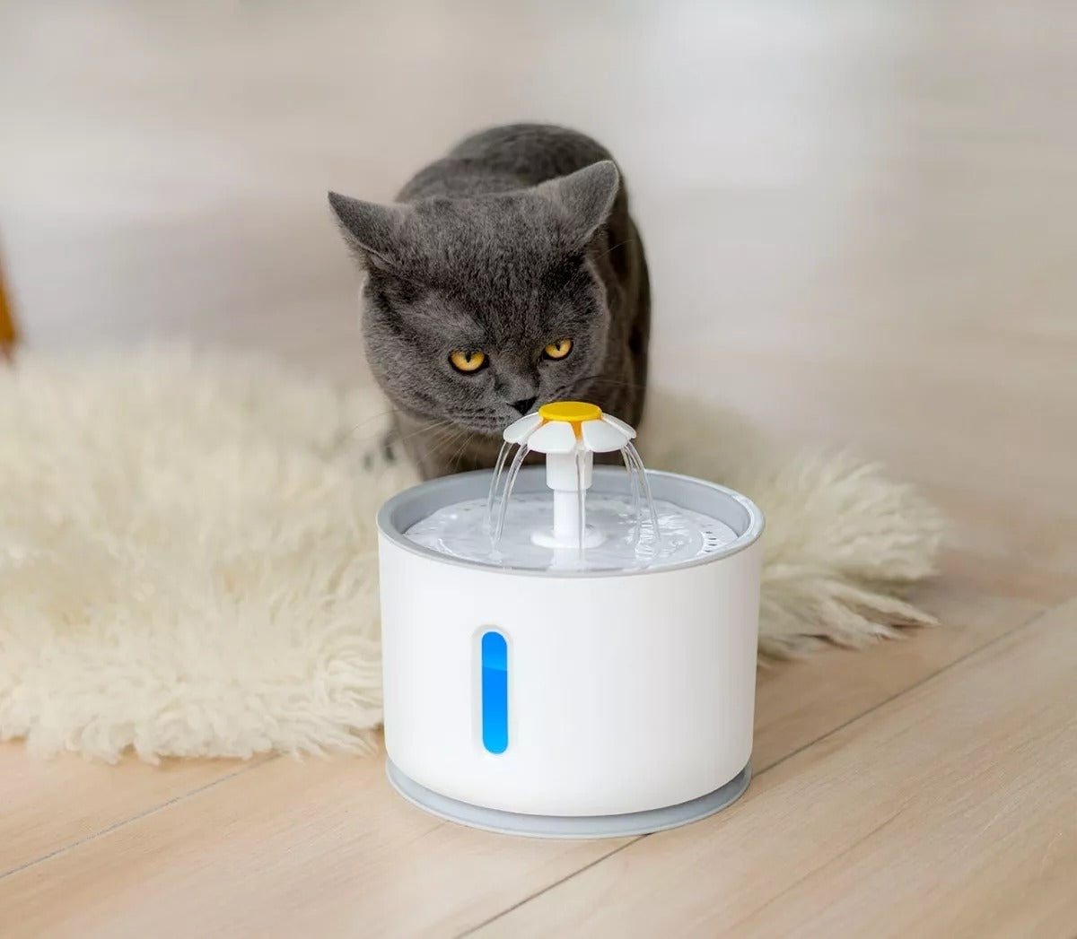 Fuente de agua eléctrica para mascota