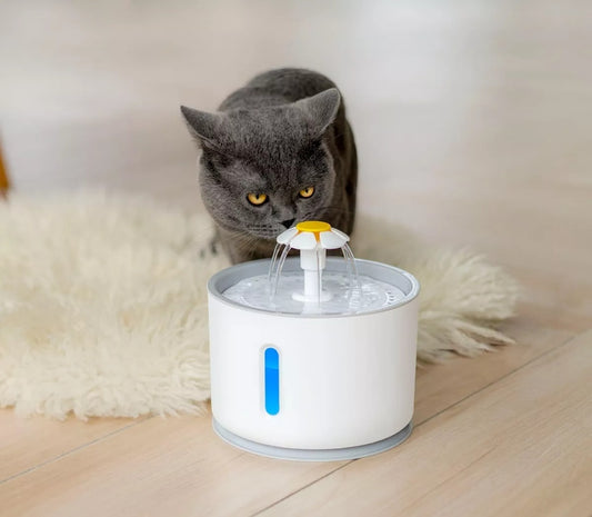 Fuente de agua eléctrica para mascota